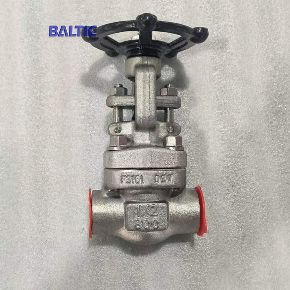API 602 Gate Valves, ASTM A182 F316L, 1/2 Inch, 800 LB, SW
