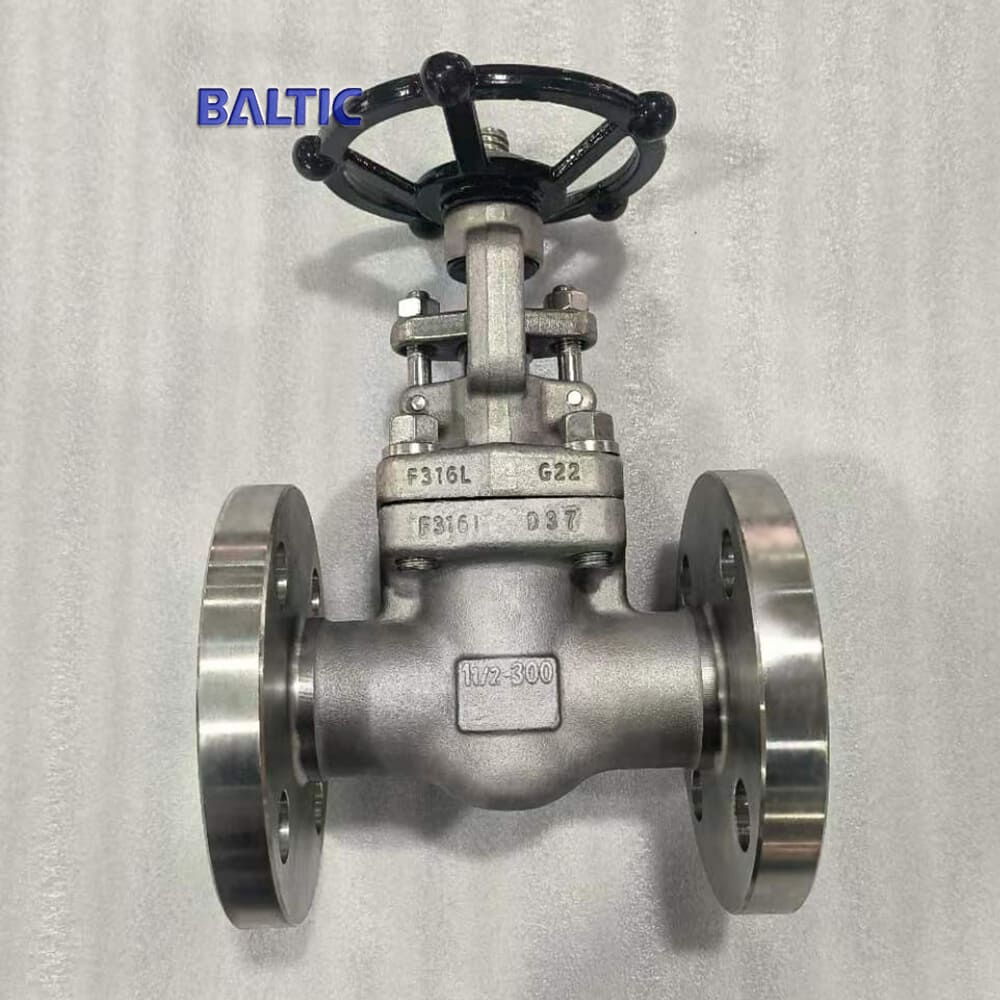 ASTM A182 F316L Gate Valve, API 602, 1-1/2 Inch, CL300, DN40