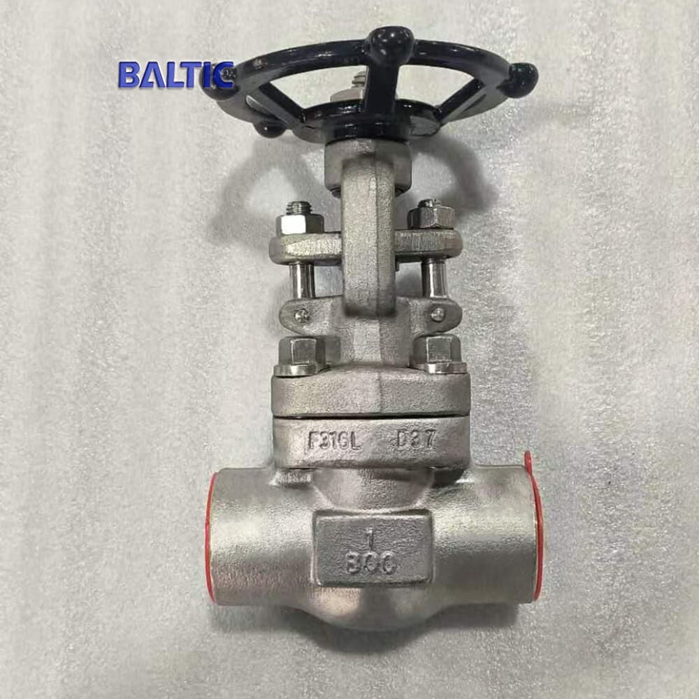 Class 800 LB Gate Valve, API 602, ASTM A182 F316L, 1 IN, SW