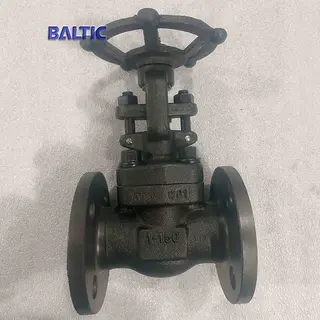 ASTM A105N Gate Valve, API 602, 1 IN, CL150, Integral Flange