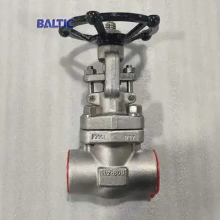 Stainless Steel Gate Valves, API 602, F316L, 1-1/2 IN, CL800