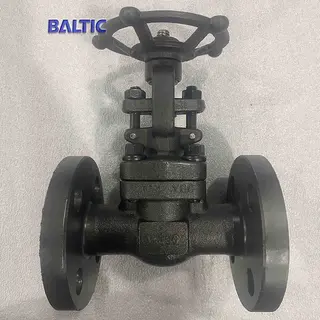 1 Inch Gate Valve, API 602, ASTM A105N, 300 LB, Flanged Ends