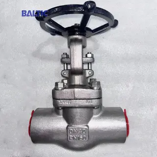 Reduced Bore Gate Valve, API 602, EN 1.4466, DN40, PN160, BW
