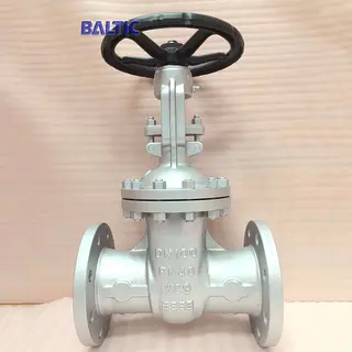 DIN Gate Valves for High Temperature (PN40 series)