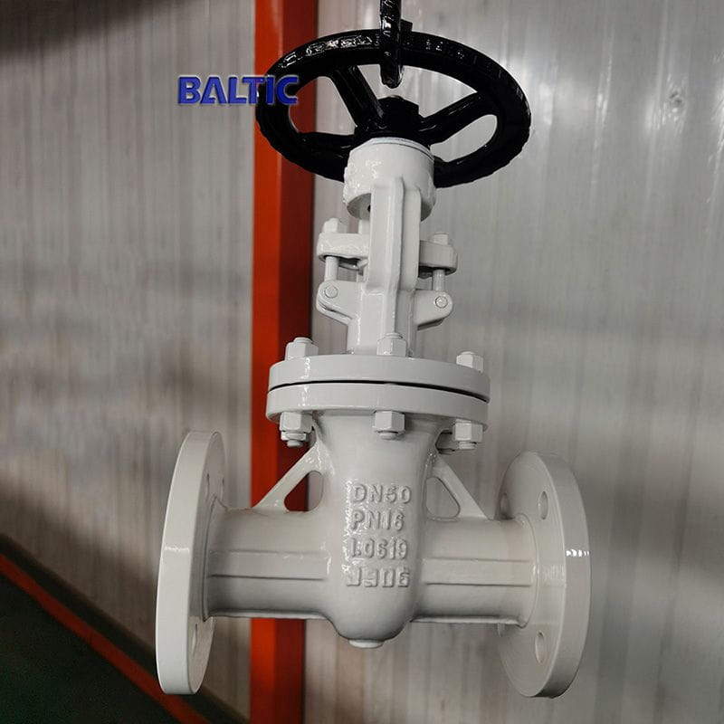 1.0619 Flexible Wedge Gate Valve, DN50, PN16, DIN 3352