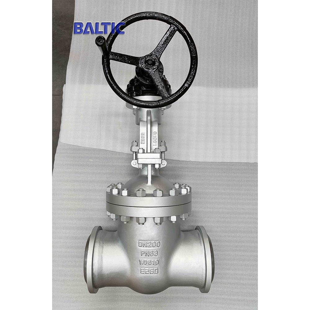 1.0619 Gate Valve, DN200, PN63, EN 1984, DIN 3352, BW