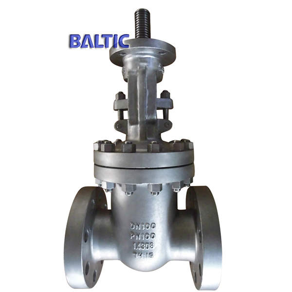 1.4308 Wedge Gate Valve, Bare Stem with Flange, DN100, PN100, RF