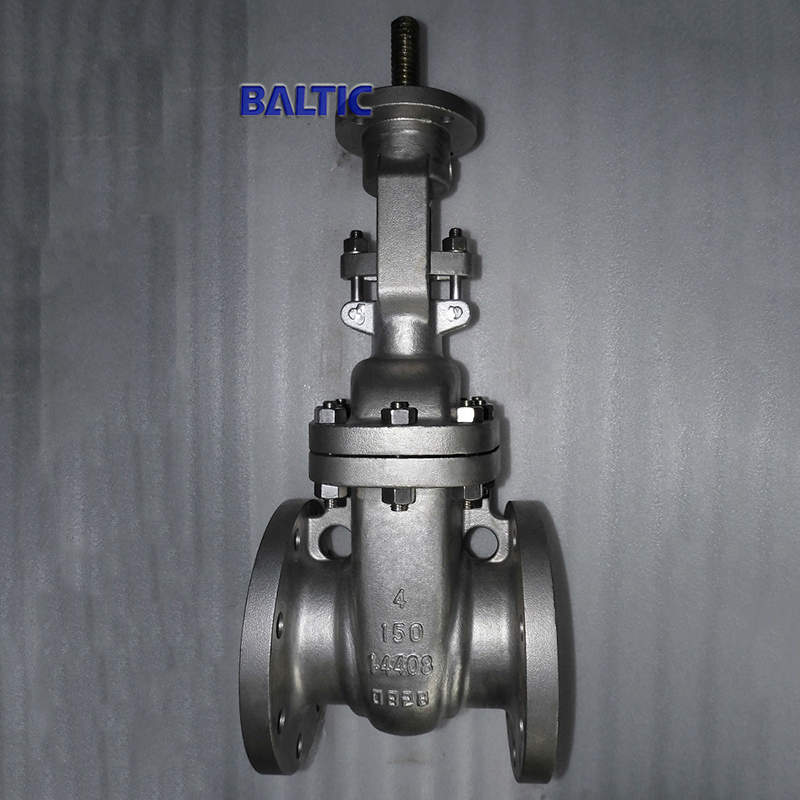 1.4408 Flexible Wedge Gate Valve, 4 IN, 150 LB, API 600