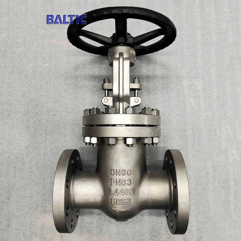 1.4408 Flexible Wedge Gate Valve, DN80, PN63, DIN 3352