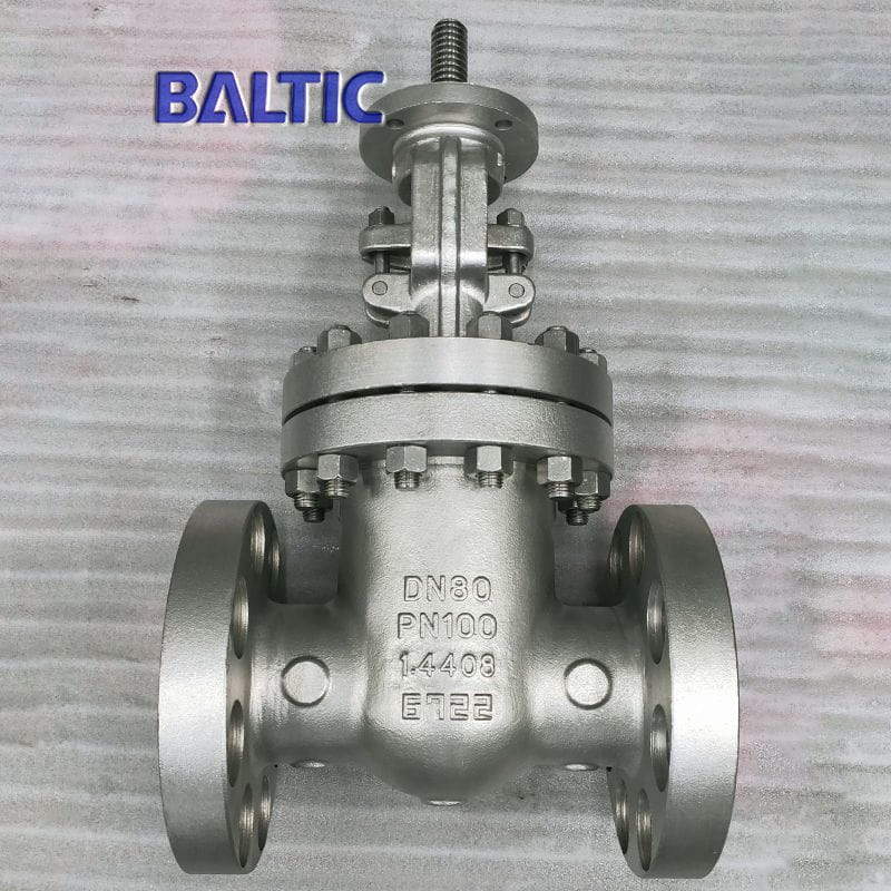 1.4408 Gate Valve, EN 1984, DIN 3352, DN80, PN100, RF