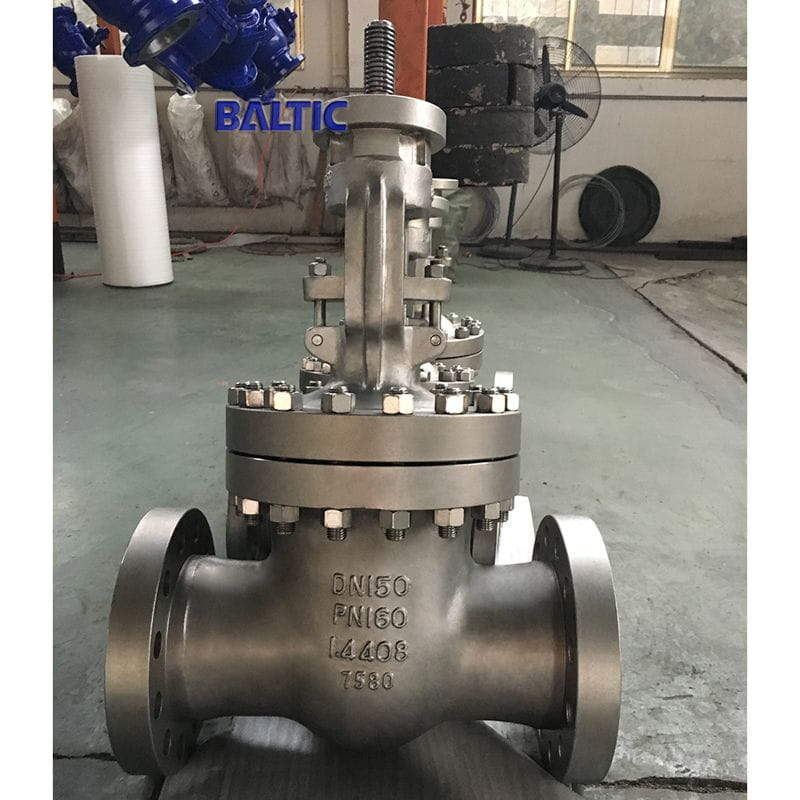 1.4408 Wedge Gate Valve, DN150, PN160, EN 1984, DIN 3352