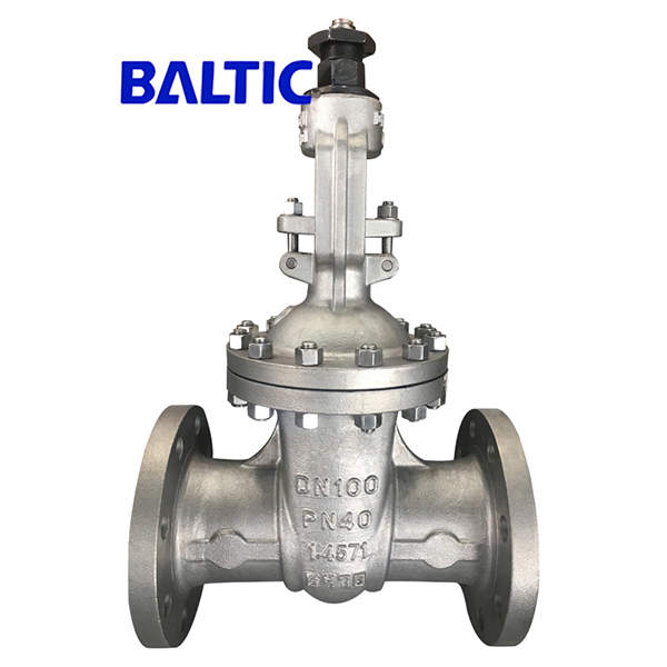 1.4571 Flexible Wedge Gate Valve, DN100, PN40, Flanged, EN 1984