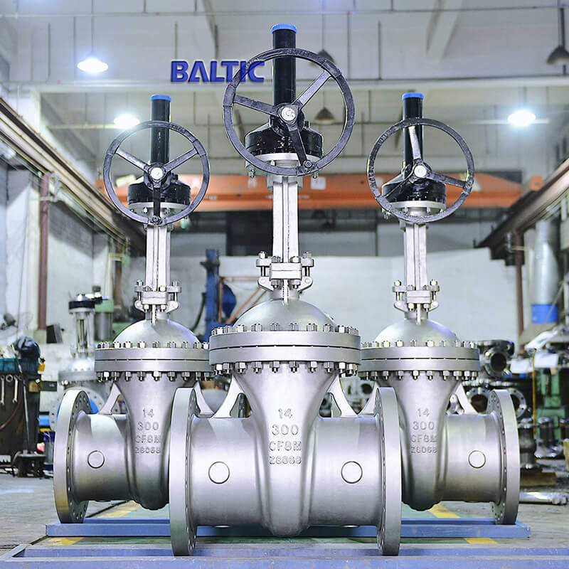 14 Inch Gate Valve, 300 LB, ASTM A351 CF8M, API 600, RF