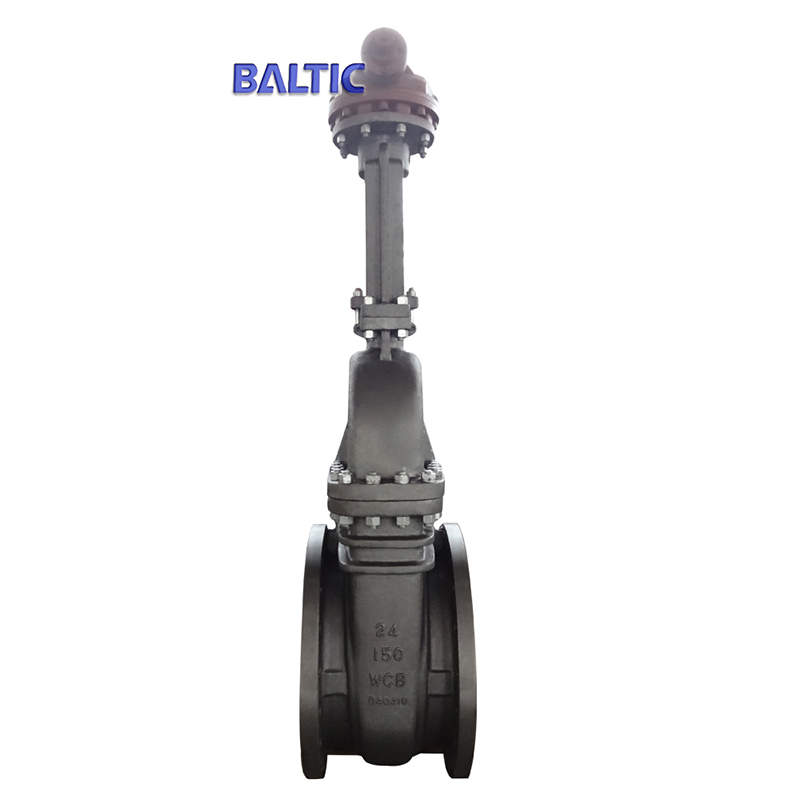 24 Inch Flexible Wedge Gate Valve, 150 LB, WCB, API 600, RF
