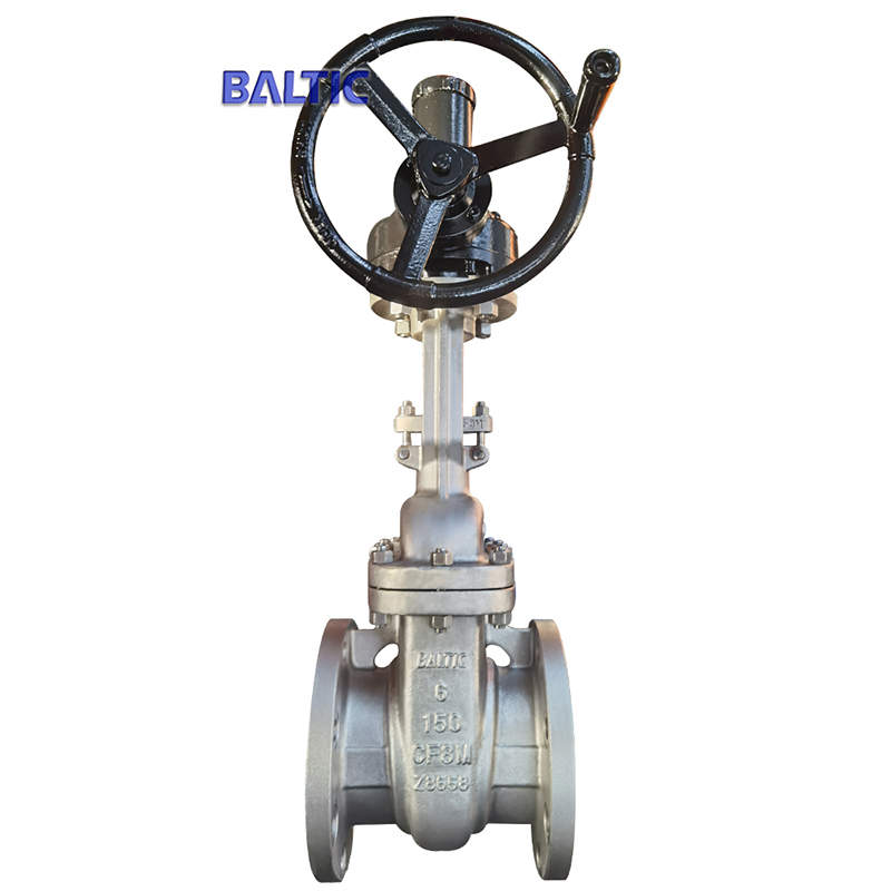 API 600 Flexible Wedge Gate Valve, 150 LB, CF8M, 6 Inch
