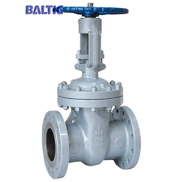 API 600 Flexible Wedge Gate Valve, ASTM A216 WCB, 6 Inch, 300LB, RF