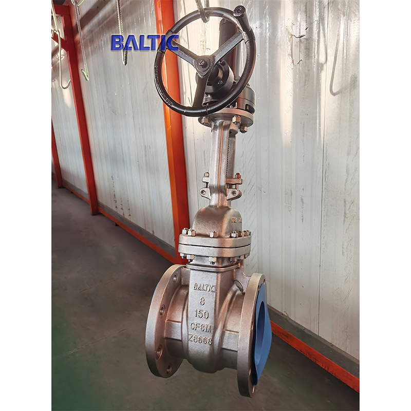 API 600 Gate Valve, Flexible Wedge, 8 Inch, 150 LB, CF8M, RF