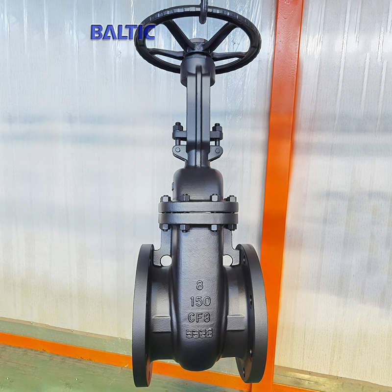 ASTM A351 CF8 Flexible Wedge Gate Valve, 8 Inch, 150 LB, RF
