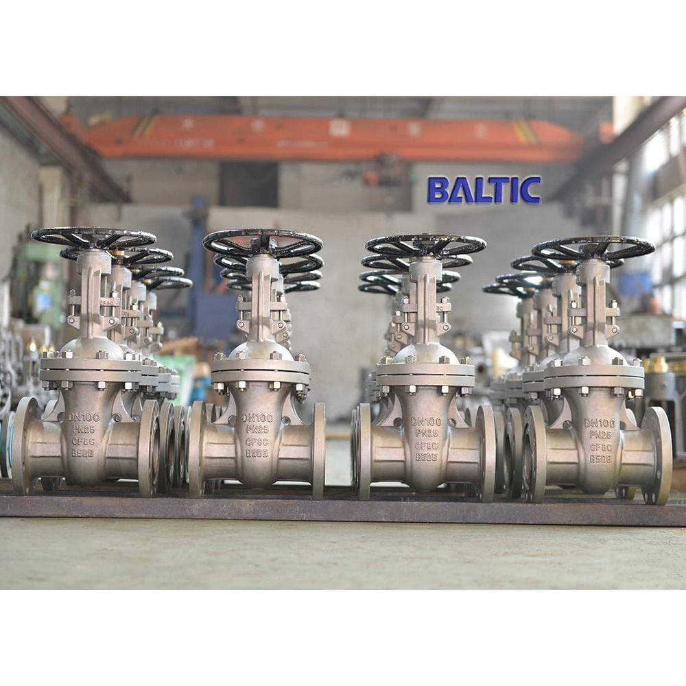 ASTM A351 CF8M Wedge Gate Valve, DIN 3352, DN100, PN16, RF - Baltic