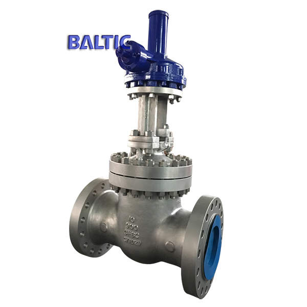 ASTM A351 CF8C Gate Valve, Gearbox Operated, 10 Inch, 900 LB, RTJ