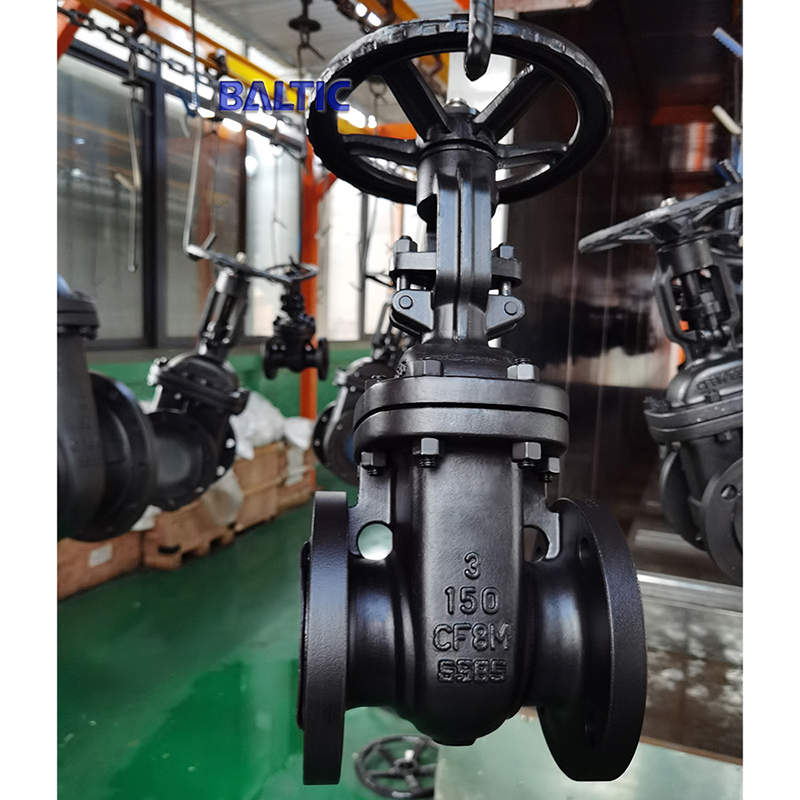 ASTM A351 CF8M Flexible Wedge Gate Valve, 3IN, CL150, API 600