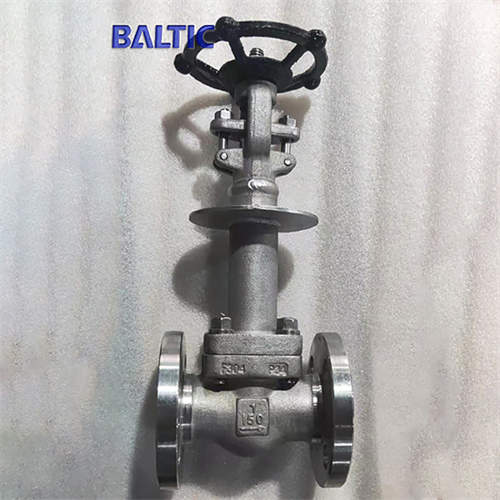 BS 5352 Stainless Steel Cryogenic Gate Valve, 1 Inch, 150 LB