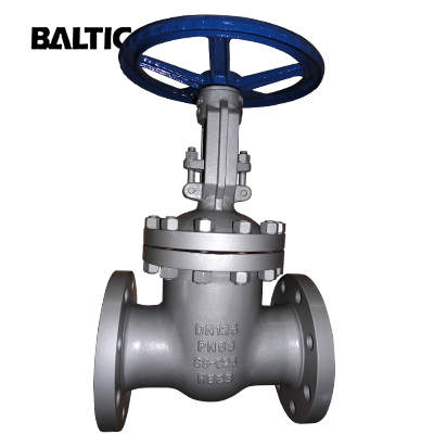 DIN 3352 Flexible Wedge Gate Valve, GS-C25, DN125, PN63, RF End