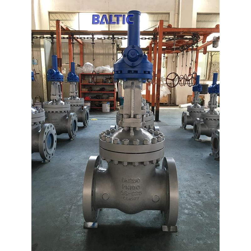 DIN 3352 Gate Valve, Flexible Wedge, GS-C25, DN250, PN100