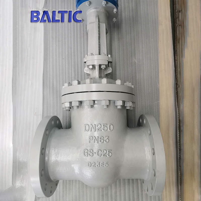 DIN 3352 RF Gate Valve, EN 1984, DN250, PN63, GS-C25