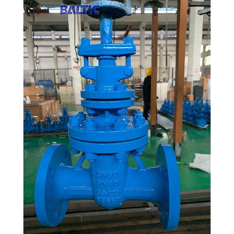 DIN Non-rising stem Gate Valve, EN 1984, GS-C25, DN50, PN40