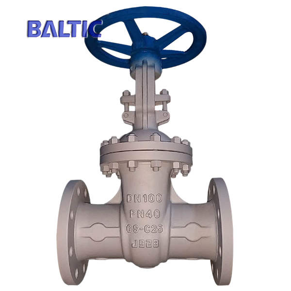 DN100 Flexible Wedge Gate Valve, GS-C25, DIN 3352, PN40, RF X RF