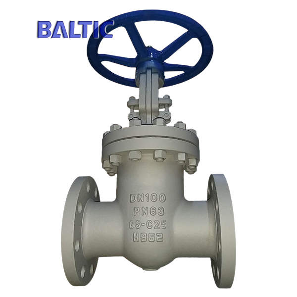 DN100 PN63 Flexible Wedge Gate Valve, GS-C25, DIN 3352, Raised Face