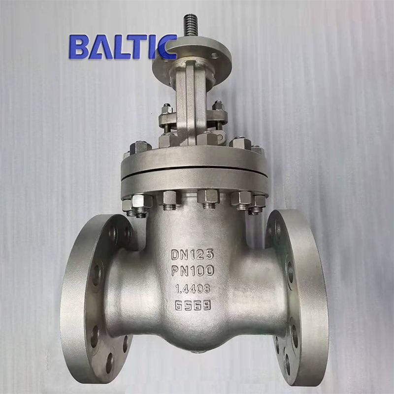 DN125 PN100 Gate Valve, Flexible Wedge, 1.4408, DIN 3352