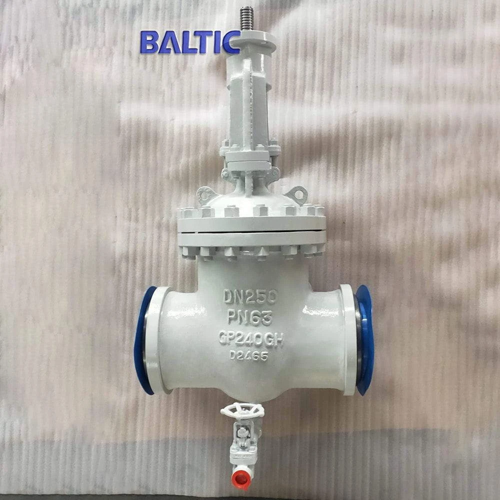 GP240GH Wedge Gate Valve with Drain Valve, DN250, PN25, RF - Baltic
