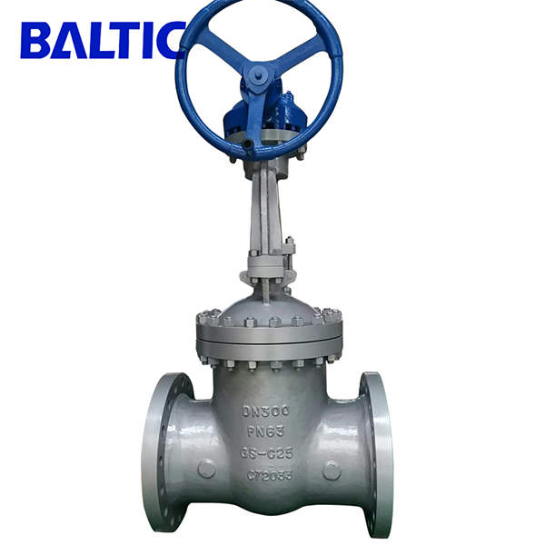DN300 Flexible Wedge Gate Valve, GS-C25, PN63, RF, EN 1984, DIN 3352