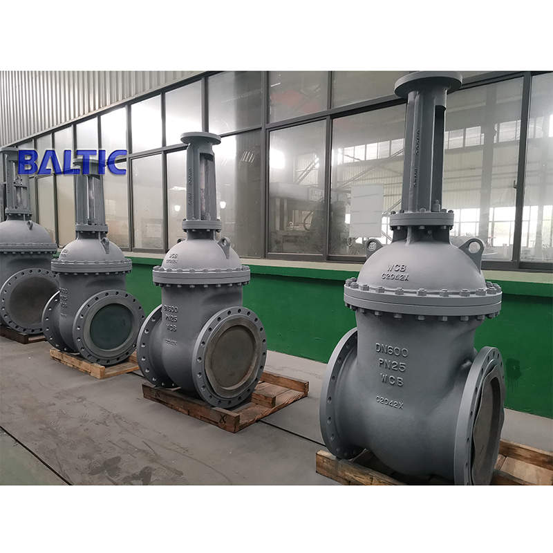 DN600 PN25 Wedge Gate Valve, WCB, RF, DIN 3352