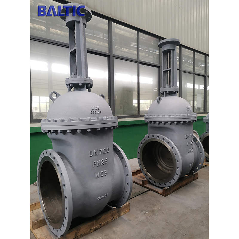 DN700 PN25 Wedge Gate Valve, WCB, EN 1984, DIN 3352, RF