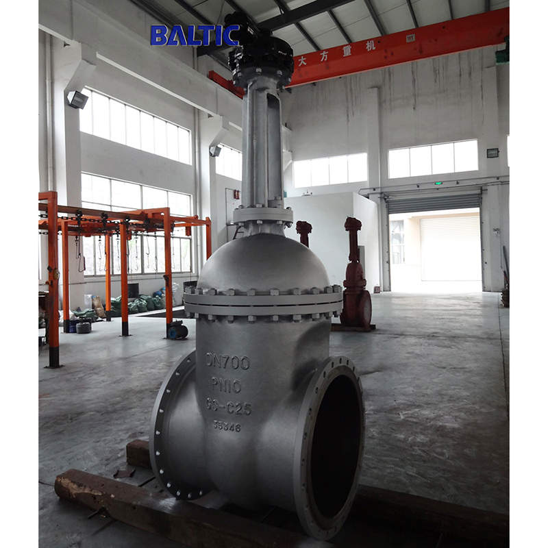 DN700 Wedge Gate Valve, GS-C25, PN10, RF End
