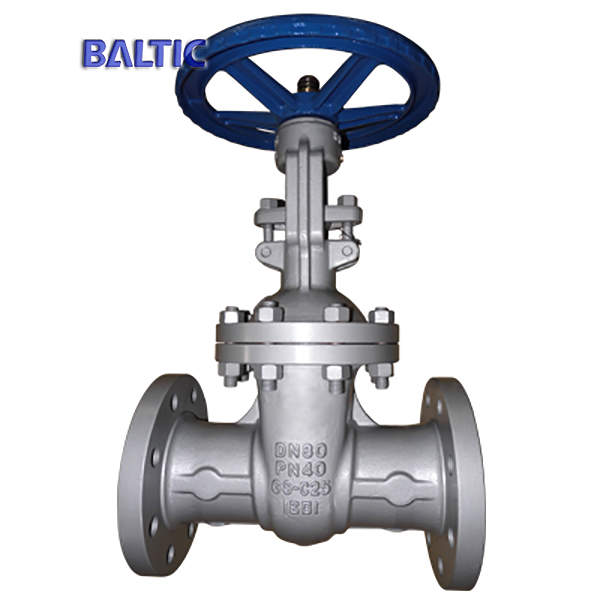 DN80 Flexible Wedge Gate Valve, EN 1984, PN40, RF End