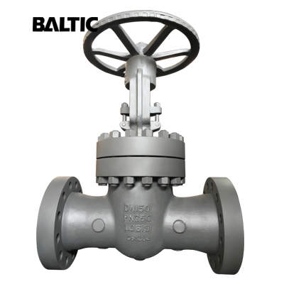 EN 1984 Flexible Wedge Gate Valve, 1.0619, DN50, PN250, RF