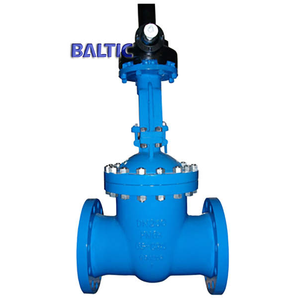 EN 1984 Wedge Gate Valve, GS-C25, DN250, PN63, EN 558-1/line 26