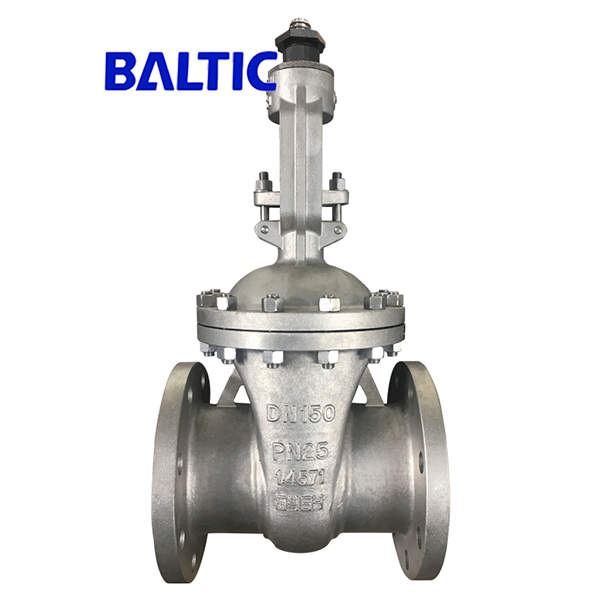 Flanged Flexible Wedge Gate Valve, 1.4571, DN150, PN25, DIN 3352