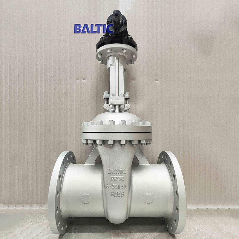 GP240GH Gate Valve, EN 1984, DIN 3352 DN300, PN40, RF