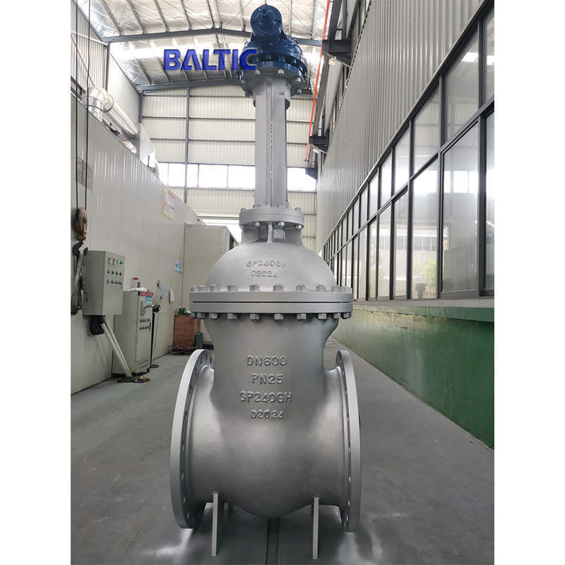 GP240GH Wedge Gate Valve, DN600, PN25, DIN 3352, RF