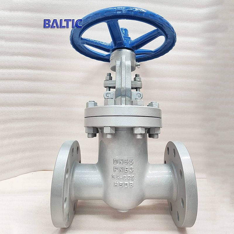GS-C25 Gate Valve, DN65, PN63, EN 1984, DIN 3352, RF