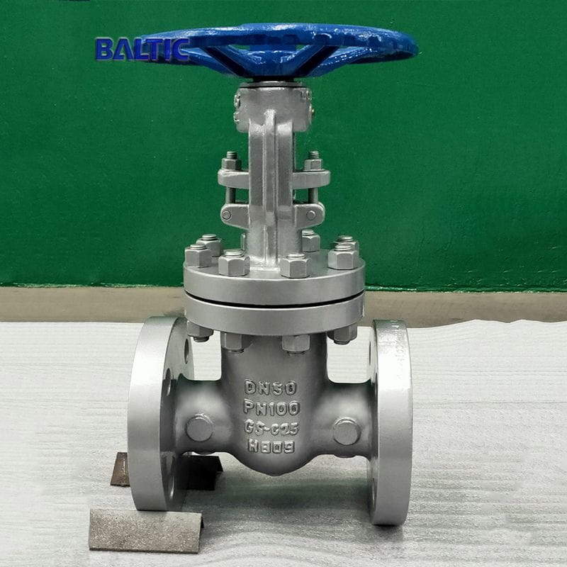 GS-C25 Gate Valve, Flexible Wedge, DIN 3352, DN50, PN100, RF