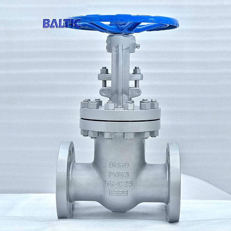 GS-C25 Gate Valve, Flexible Wedge, EN 1984, DN80, PN63
