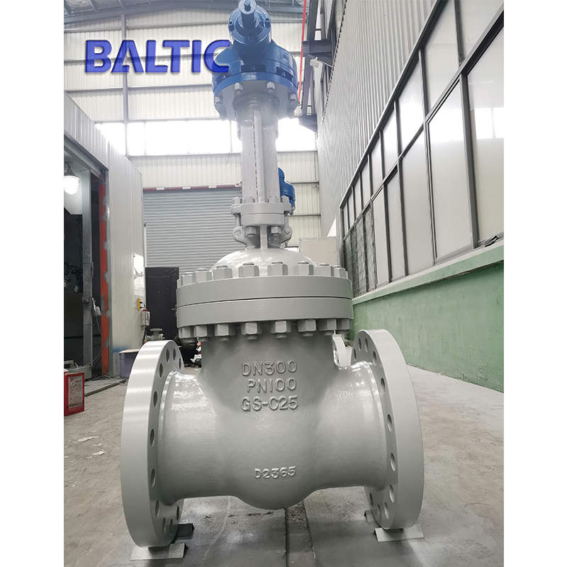 GS-C25 Wedge Gate Valve, DN300, PN100, EN 1984, DIN 3352