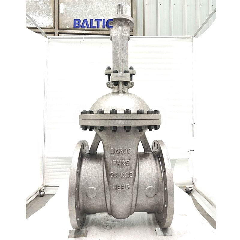 GS-C25 Wedge Gate Valve, DN300, PN25, DIN 3352, EN 1984
