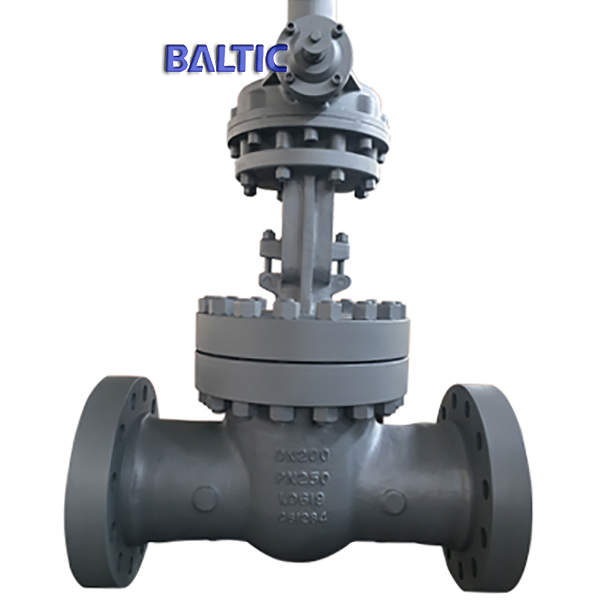 GS-C25 Wedge Gate Valve, EN 1984, DN200, PN250, EN 558-1 series